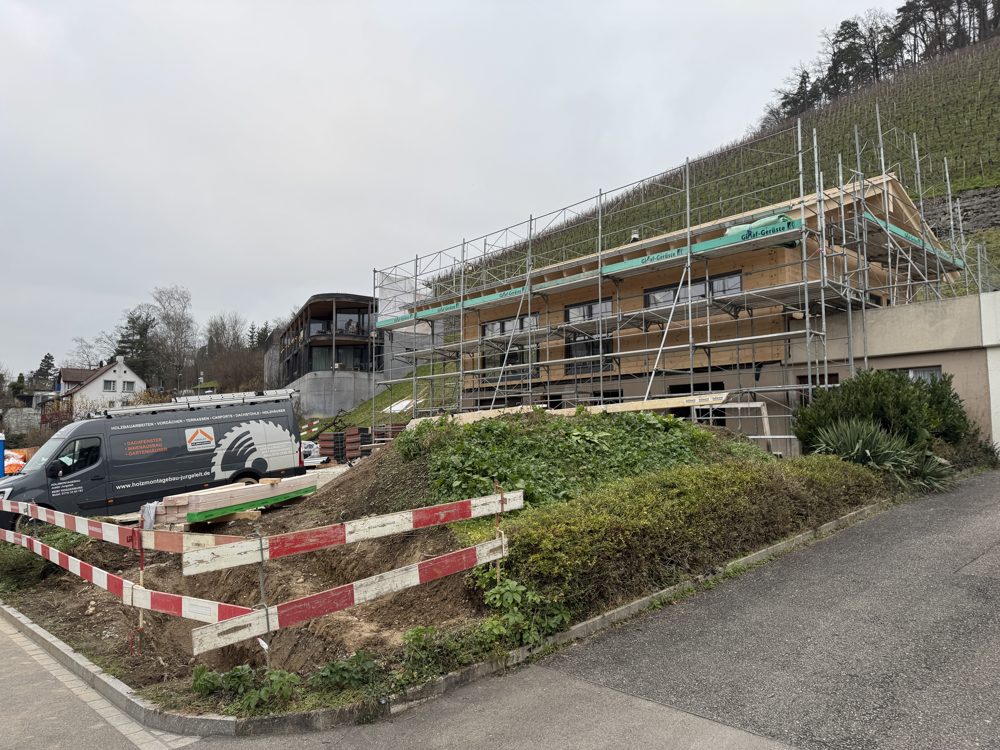 Vollholz im Aufbau